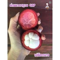 ราคา มังคุดสุราษฎร์ธานีคุณภาพส่งออก (3595861482)