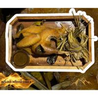 ราคา ไก่ต้มน้ำปลา ไก่ต้มน้ำปลาสุขนิภา ไก่ต้มน้ำปลาครึ่งตัว ไก่ต้มน้ำปลาโบราณ (29439332586)