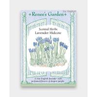 ราคา เมล็ดพันธุ์ ดอก ลาเวนเดอร์ Lavender Hidcote (6458474561)