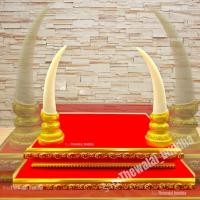 ราคา งาช้าง งาช้างเรซิ่น1คู่ งาจำลองขนาด5นิ้ว ถวายสิ่งศักดิ์สิทธิ์พระพุทธรูปบูชา งาช้างจำลอง (29113988125)