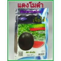 ราคา เมล็ดพันธุ์ แตงโมดำ watermelon แตงโม ดูแลน้อย ต้นแข็งแรง ปลูกง่าย น้ำหนักดี ผลผลิตสูง ทนโรค ผลไม้ (4235348124)