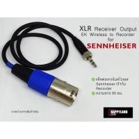 ราคา Sennheiser สาย XLR Receiver Output to Minijack 3.5 mm สำหรับไมค์ไวเลสยี่ห้อ Sennheiser (14171849795)