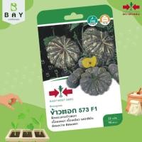 ราคา เมล็ดพันธุ์ตราศรแดง พันธุ์ฟักทองลูกผสม ข้าวตอก 573 F1 จำนวน 25 เมล็ด (24601092610)