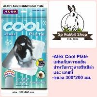 ราคา Alex Cool Plate แผ่นเก็บความเย็น สำหรับกระต่าย ชินชิล่า และ แกสบี้ (300mm. x 200mm.) (428083536)