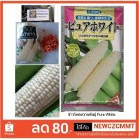 ราคา เมล็ดพันธุ์ข้าวโพดหวานนมสดนำเข้าจากญี่ปุ่น Pure White Hokkaido กินดิบได้ แบ่งขายจากซองแท้ 40 เมล็ด (1304673141)
