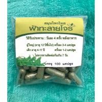 ราคา 100แคปซูลฟ้าาาทะลายโจรอย่างดี (10429744986)
