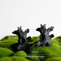 ราคา โพรงไม้ ขอนไม้เรซิ่น ตกแต่งสวนขวด สวนถาด แต่งกระถางกระบองเพชร (คละแบบ) (7525597416)