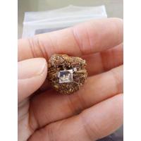 ราคา ลูกอมชานหมาก หลวงปู่นนท์ วัดเขาพรานธูป รุ่นแรก (25625732001)