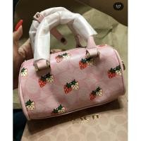 ราคา กระเป๋าCOACHสีชมพูมินิ (10903773825)