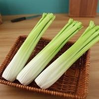 ราคา โมเดลเซเลอรี่ เซเลอรี่ปลอม ขึ้นฉ่ายฝรั่งปลอม Celery ผักปลอม เซเรอลี่ เซรารี่ เซลารี่ Celery ขึ้นฉ่ายฝรั่ง (22047203565)
