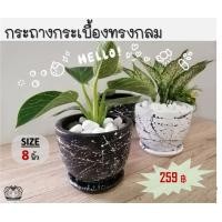 ราคา กระถางปั้นดินเผา กระถางไม้ใบ กระถางแคคตัส กว้าง 8 นิ้ว หนา 1.5 ซม. (8420512446)