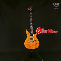 ราคา กีต้าร์ไฟฟ้า PRS SE Custom 24 2010 with Quilted Maple Top (42425498903)
