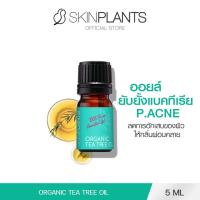 ราคา SKINPLANTS Organic Tea Tree Acne Oil 5 ml. ออยล์ต้านแบคทีเรีย ลดการอักเสบของผิว (NO BOX) (6120835070)