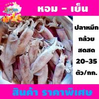 ราคา ปลาหมึกกล้วย ปลาหมึกสดสด จากทะเล 20-35 ตัว/กิโลกรัม (26174794790)