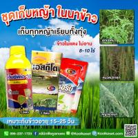 ราคา เก็บหญ้า ในนาข้าว 1 ลิตร ใช้หลังวัชพืชงอก นาข้าว ข้าวโพด ไร่อ้อย มันสัมปะหลัง ปลอดภัยต่อข้าว คูลเกษตร KP32 (20877210752)
