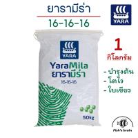 ราคา ปุ๋ยยารามีร่า 16-16-16 ปุ๋ย เร่งใบ เร่งดอก เร่งแตกยอด ปุ๋ยสูตรเสมอ (18584485666)