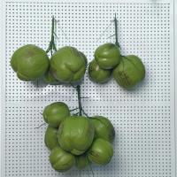 ราคา มะพร้าวจำลองพลาสติกปลอมมะพร้าวมะพร้าวจำลองต้นมะพร้าวสไตล์ยุโรปตะวันตกผลไม้จำลองเขตร้อนขายตรง SADS (40473855954)