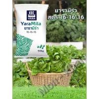 ราคา ปุ๋ยยารามีร่า สูตร16-16-16 (แบ่งบรรจุขนาด 500 ) กรัม (42208436897)