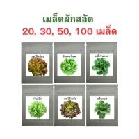 ราคา เมล็ดผักสลัด 20, 30, 50, 100 เมล็ด เมล็ดพันธุ์ผักสลัด 6 ชนิด (22152468225)