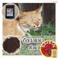 ราคา เมล็ดอวบอ้วน100%พร้อมส่ง ❗ รหัส 002 แคทนิป เมล็ดพันธุ์แท้ แมวร่าเริง Catnip ช่วยคลายเครียด ไม่มีอันตราย ตำแยแมวเมล็ดพัน (18070793534)