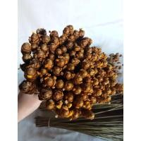 ราคา ดอกกระถินทุ่งตากแห้งขนาด3มัดนน.15กรัมสีธรรมชาติ (47152538705)