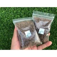 ราคา เม็ดหินดินเผา POPPER แบ่งขาย (6832328979)