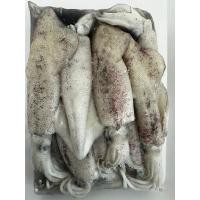 ราคา Fresh food ปลาหมึกกล้วยไทย ปลาหมึกสด ปลาหมึกหั่นชิ้น หวานอร่อย ปลาหมึกลอกหนัง ต้มยำปลาหมึก (26483953472)