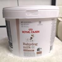ราคา นม royal canin สำหรับลูกสุนัข สัตว์เลี้ยงลูกด้วยนม ชูก้าไกรเดอร์ กระรอก ชูก้า ถุงฟรอย์แบ่งขาย 400g (2555690342)