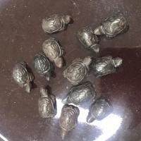 ราคา เต่าเหล็กไหล เต่ามหาลาภ หลวงพ่ออุทัย วัดเกาะตาพุด (8313385753)