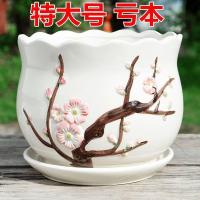 ราคา กระถางดอกไม้เซรามิกคลอโรฟิลล์ขนาดใหญ่พิเศษพร้อมถาดสร้างสรรค์ที่ไม่ซ้ํากันผักชีฝรั่งสีเขียวกระถางดอกไม้ฉ่ําขนาดใหญ่ (51100313998)