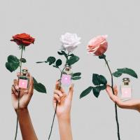 ราคา เปิดแบ่ง Jo Malone Rose Water & Vanilla / Red Roses / Rose Blush (20172031196)
