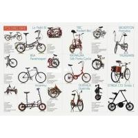 ราคา โปสเตอร์ จักรยาน รถจักรยาน จักรยานพับ Bicycle Bike POSTER 24”X35” Inch Folding Bike V1 (4802509574)