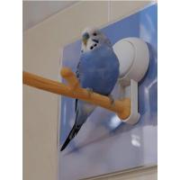 ราคา คอนขอนไม้ติดกระจก / ผนังต่างๆ นกแก้ว นกฟอพัส นกแก้วทุกชนิด❤️❤️ (18380284015)