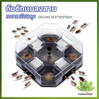 ราคา lawan ที่ดักแมลงสาบ ที่ดักแมลงสาบ กล่องดักแมลงสาบ cockroach trap (13295412724)