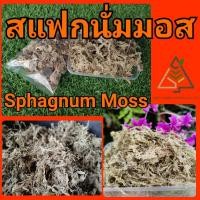 ราคา สแฟกนั่ม มอส (Sphagnum Moss) (10832795780)