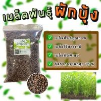 ราคา เมล็ดพันธุ์ผักบุ้งจีน เมล็ดพันธุ์ต้นอ่อนผักบุ้งใบไผ่ขนาดบรรจุ1 กก. (26112493692)