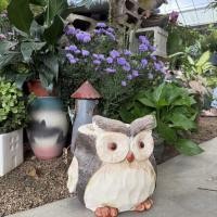ราคา 【พร้อมส่ง】นกฮูก ของแต่งสวน แต่งสวน owl Flower Pot นกฮูกกระถางดอกไม้ตกแต่งระเบียงตกแต่งบ้าน (40213865683)