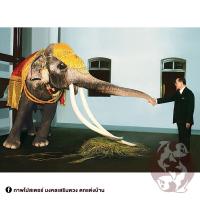 ราคา ภาพประดับบ้าน พระฉายาลักษณ์ รัชกาลที่9 พระบาทสมเด็จพระบรมชนกาธิเบศร ร9 ขนาด 8x10 นิ้วสำหรับใส่กรอบ หรือติดผนัง (29805505988)