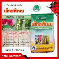 ราคา โรคพืช เอ็กซพิเนบ ขนาด 1 กิโลกรัม โพรพิเนบ 70% WP พีโคล สารป้องกัน พืชคุณภาพสูง เชื้อรา กำจัดเชื้อรา สารเดียวกับแอนทรา (23759023782)