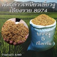 ราคา เมล็ดพันธุ์ข้าวเหนียวนาปี ข้าวเหนียวเขี้ยวงู เชียงราย 8974 บรรจุ 5 Kg. พันธุ์ข้าวอย่างดี ปลูกเองขายเองโดยวิธีธรรมชาติ (28768081210)