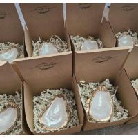 ราคา พร๊อปตกแต่ง พรอพถ่ายรูป จานหอย จานรูปหอย หอยเชลล์ Oyster Dish จานหอยนางรมแท้ (2942962140)