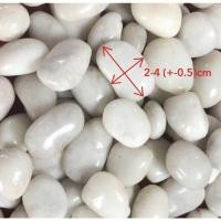ราคา หินประดับตกแต่ง ขนาด 2-4ซม. สีขาวเงา 5กก. หินขาวตกแต่งสวน หินโรยต้นไม้ หินโรยกระถางต้นไม้ หินโรยทางเดิน โรยสวน หินตู้ปลา (23228774514)