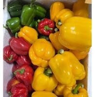 ราคา พริกหวาน เขียว เหลือง แดง หรือพริกระฆัง 1 กิโลกรัม (23365522847)