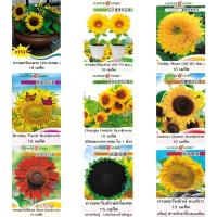 ราคา เมล็ดพันธุ์ ทานตะวัน (ซองสี) Sun Flower เมล็ดทานตะวันแคระ เมล็ดทานตะวันยักษ์ เมล็ดทานตะวันแดง เมล็ดทานตะวันแท็ดดี้แบร์ (18213956046)