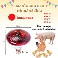 ราคา หลอดไฟอินฟาเรดสำหรับกกสัตว์ ไฟกกไก่ ไฟกกหมู ไฟกกสัตว์ 100W,150W,175W,250W, รุ่น MP-5199 (52252640308)