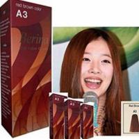 ราคา เบอริน่า A3 (Berina) สีน้ำตาลแดง (7508421977)