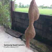 ราคา รังนกกระจาบรังนกแขวนสำหรับตกแต่งบ้านสวยๆ (16098258807)