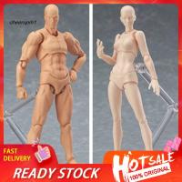 ราคา CHE_Drawing Sketch Male Female Movable Doll Action Artist Figure Archetype Body (3638815609)