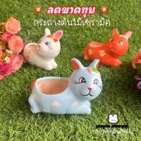 ราคา กระถางแคคตัส กระถางกระบองเพชร กระถางต้นไม้อันเล็ก กระถางต้นไม้น่ารัก กระถางต้นไม้ลายการ์ตูน กระถางแคคตัสเซรามิค (53200526086)