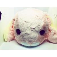 ราคา ตุ๊กตากระต่าย AMUSE ตัวใหญ่ จากตู้คีบญี่ปุ่น toreba (6736720573)